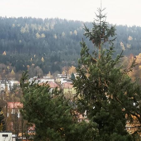 Apartamento Irysek Lądek-Zdrój Exterior foto